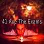 Album 41 Ace the Exams de White Noise Research