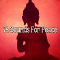 Album 74 Sounds for Peace de Meditation Spa
