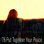 Album 76 Put Together Your Peace de Focus Study Music Academy