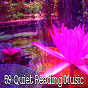 Album 59 Quiet Reading Music de White Noise Research