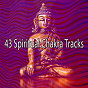 Album 43 Spiritual Chakra Tracks de Nature Sounds Artists