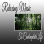 Album Relaxing Music To Contemplate Life de Relaxing Music