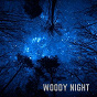 Album Woody Night de Stardust At 432hz