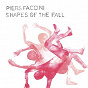 Album Shapes of the Fall de Piers Faccini