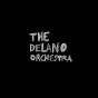 Album A little girl, a little boy, and all the snails they have drawn de The Delano Orchestra