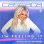 Album I'm Feeling It (In the Air) (DJ Gollum & DJ Cap Remix) de Cascada