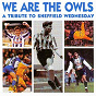 Compilation We Are The Owls avec Unknown / Wednesday Kop Band / Terry Curran / Lynn Carter / Wednesday Blues...
